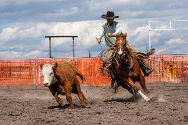 Rodeo ve Bronco Riding Pincher Creek Kanada'da, 16 Haziran 2019