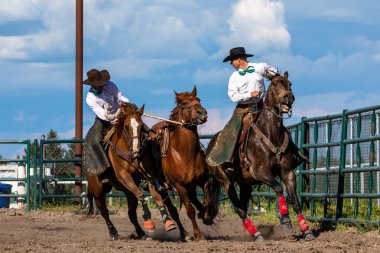 Rodeo ve Bronco Riding Pincher Creek Kanada'da, 16 Haziran 2019