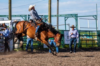 Rodeo ve Bronco Riding Pincher Creek Kanada'da, 16 Haziran 2019