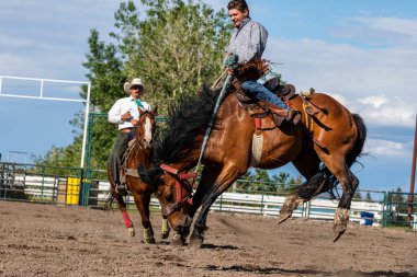 Kanada'da Pincher Creek Ranche Rodeo'da Bucking Horse'daki Kovboylar, 16 yaşında. Haziran 2019