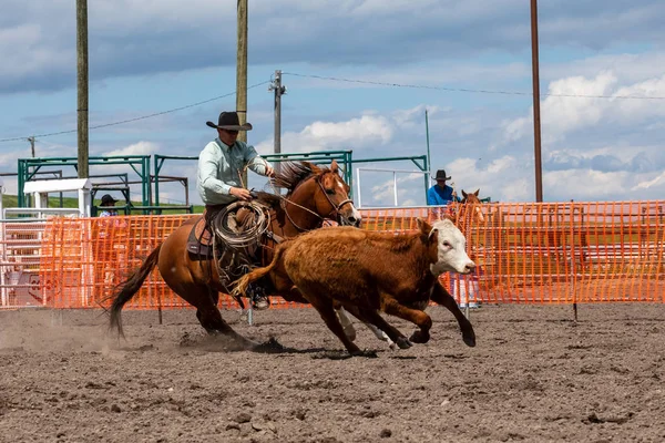 Rodeo Bronco Riding Pincher Creek Canada Junio 2019 — Foto de Stock