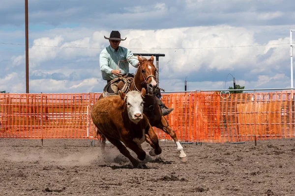 Rodeo Bronco Rijden Pincher Creek Canada Juni 2019 — Stockfoto