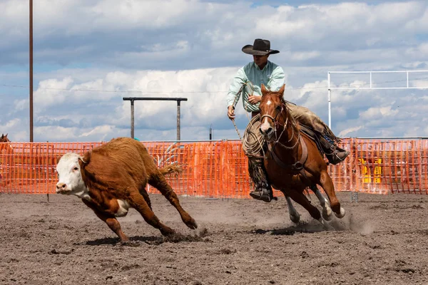 Rodeo Bronco Rijden Pincher Creek Canada Juni 2019 — Stockfoto