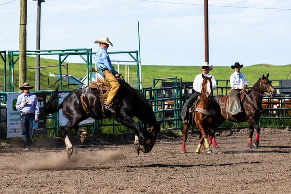 Rodeo Bronco Riding Pincher Creek Canada June 2019 — Stock Photo, Image