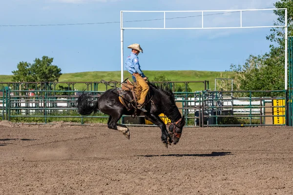 Rodeo Bronco Riding Pincher Creek Kanadában Június 2019 — Stock Fotó