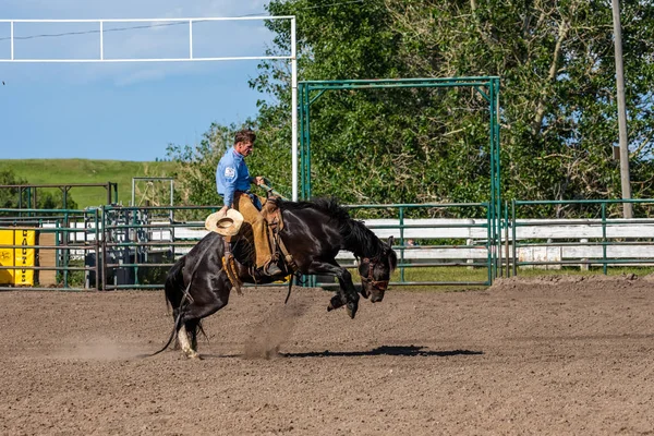 Rodéo Bronco Riding Pincher Creek Canada Juin 2019 — Photo
