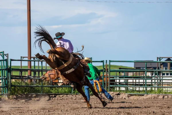 Rodeo Bronco Riding Pincher Creek Canada Czerwca 2019 — Zdjęcie stockowe