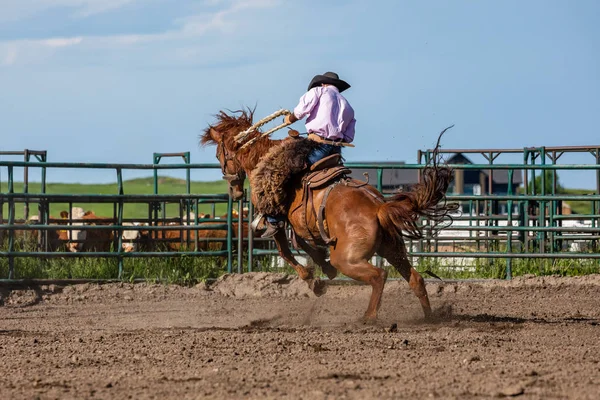 Rodéo Bronco Riding Pincher Creek Canada Juin 2019 — Photo