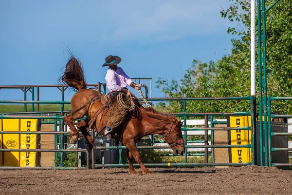 Rodeo Och Bronco Ridning Pincher Creek Canada Juni 2019 — Stockfoto