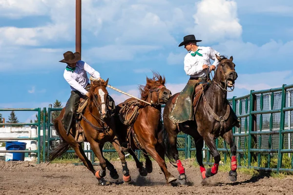 Rodeo Bronco Pincher Creek Canada Giugno 2019 — Foto Stock