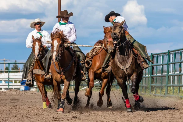 Rodeo Bronco Pincher Creek Canada Giugno 2019 — Foto Stock