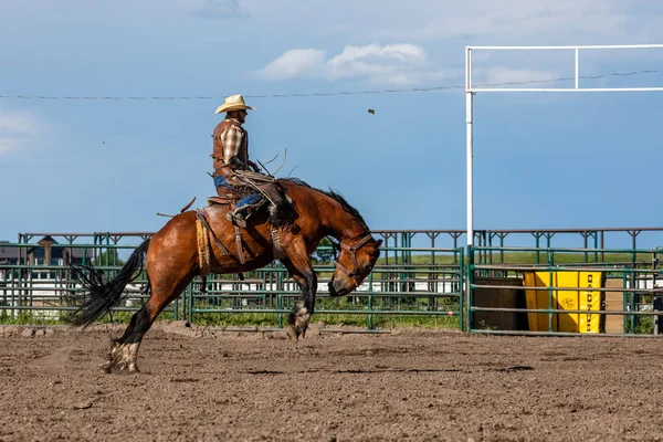 Rodeo Och Bronco Ridning Pincher Creek Canada Juni 2019 — Stockfoto