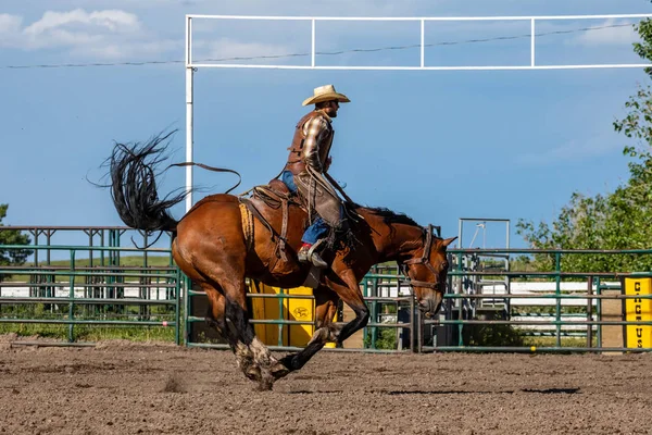 Rodeo Och Bronco Ridning Pincher Creek Canada Juni 2019 — Stockfoto