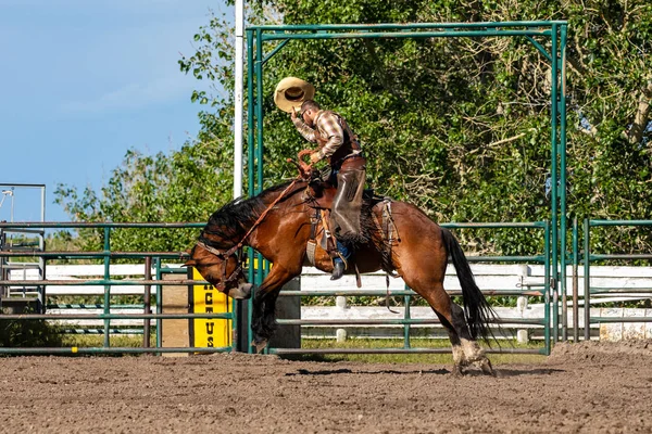 Rodeo Och Bronco Ridning Pincher Creek Canada Juni 2019 — Stockfoto