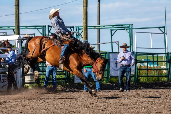 Rodeo Und Bronco Reiten Pincher Creek Kanada Juni 2019 — Stockfoto