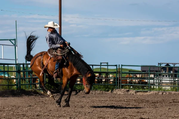 Rodeo Och Bronco Ridning Pincher Creek Canada — Stockfoto