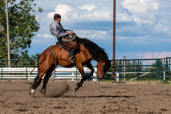 Rodeo Och Bronco Ridning Pincher Creek Canada Juni 2019 — Stockfoto