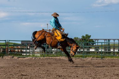 Rodeo ve Bronco Riding Pincher Creek Kanada'da, 16 Haziran 2019