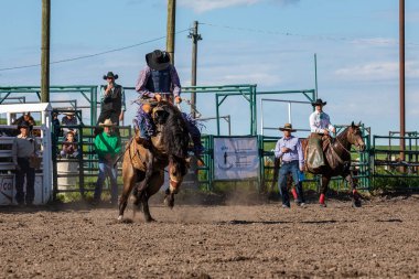 Kanada'da Pincher Creek Ranche Rodeo'da Bucking Horse'daki Kovboylar, 16 yaşında. Haziran 2019