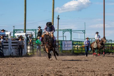 Rodeo ve Bronco Riding Pincher Creek Kanada'da, 16 Haziran 2019