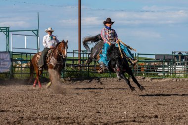 Kanada'da Pincher Creek Ranche Rodeo'da Bucking Horse'daki Kovboylar, 16 yaşında. Haziran 2019