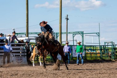 Cowboys On Bucking Horse, Pincher Creek Ranch Rodeo Canada, 16 yaşında. Haziran 2019