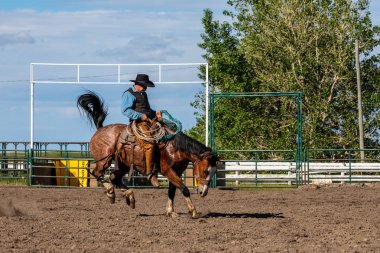 Cowboys On Bucking Horse, Pincher Creek Ranch Rodeo Canada, 16 yaşında. Haziran 2019
