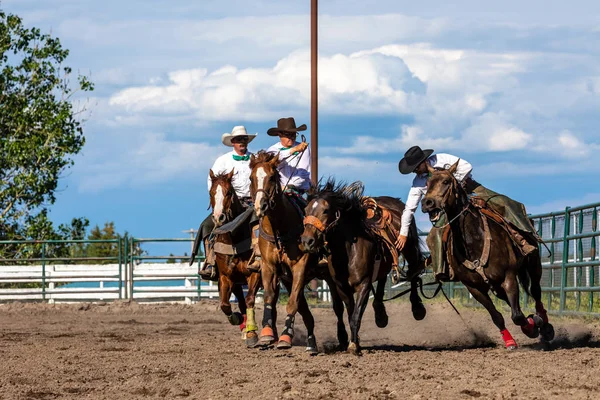 Cowboys Bucking Horse Pincher Creek Ranche Rodeo Canada June 2019 — Stock Photo, Image