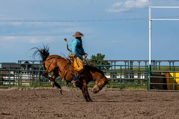 Rodeo Och Bronco Ridning Pincher Creek Canada Juni 2019 — Stockfoto