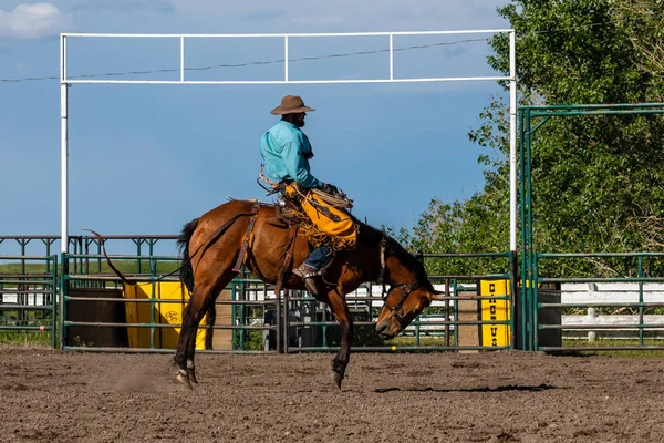 Rodeo Och Bronco Ridning Pincher Creek Canada — Stockfoto