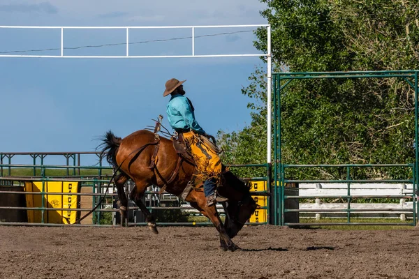 Rodeo Bronco Riding Pincher Creek Canada — Stock Photo, Image