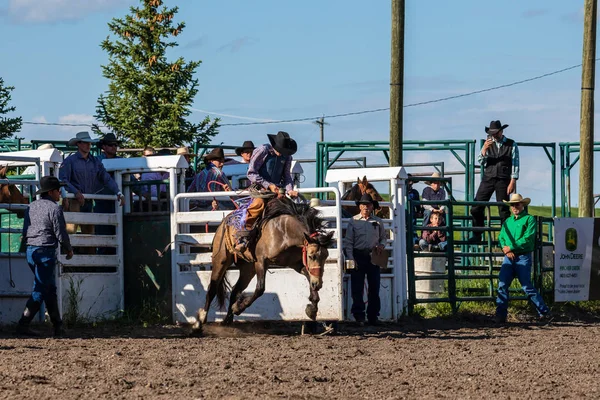 Cowboys Bucking Horse Pincher Creek Ranche Rodeo Kanadzie 2019 Czerwca — Zdjęcie stockowe