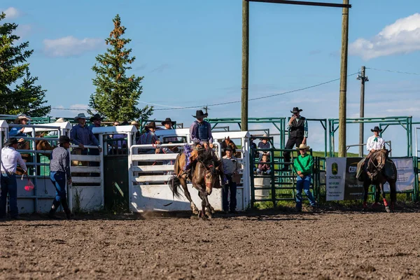 Cowboys Bucking Horse Pincher Creek Ranche Rodeo Kanadzie 2019 Czerwca — Zdjęcie stockowe