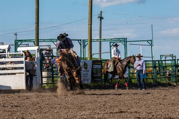 Cowboys Bucking Horse Pincher Creek Ranche Rodeo Canadá Anos Junho — Fotografia de Stock