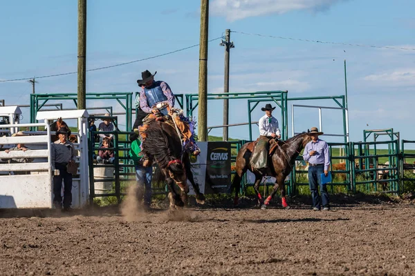 Kanada Pincher Creek Ranche Rodeo Bucking Horse Daki Kovboylar Yaşında — Stok fotoğraf