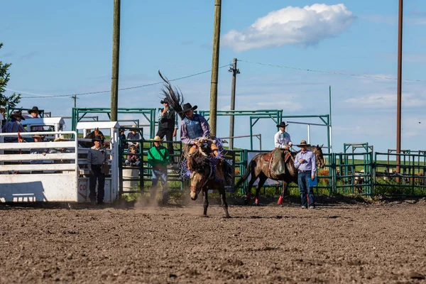 Cowboys Bucking Horse Pincher Creek Ranche Rodeo Canada June 2019 — Stock Photo, Image