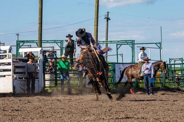 Cowboys Bucking Horse Pincher Creek Ranche Rodeo Canada Juni 2019 — Stockfoto