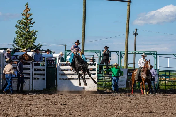 Cowboys Bucking Horse Pincher Creek Ranche Rodeo Kanadzie 2019 Czerwca — Zdjęcie stockowe