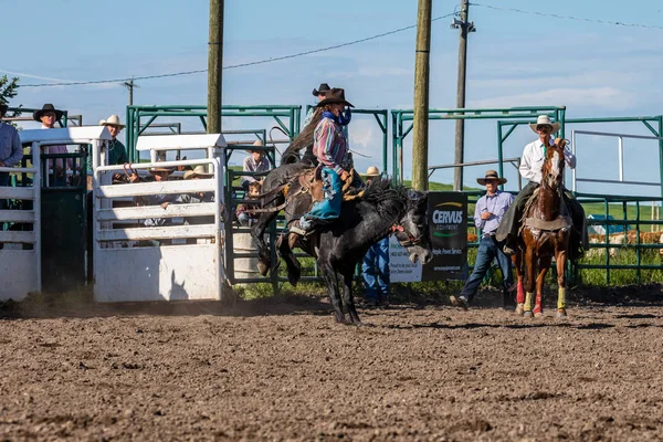 Cowboys Bucking Horse Pincher Creek Ranche Rodeo Canadá Anos Junho — Fotografia de Stock