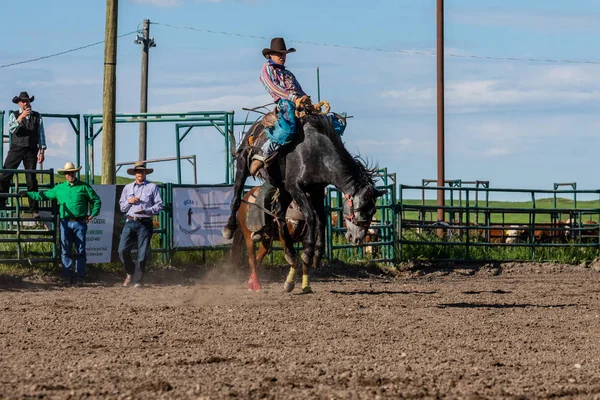 Cowboys Bucking Horse Pincher Creek Ranche Rodeo Kanada Juni 2019 — Stockfoto