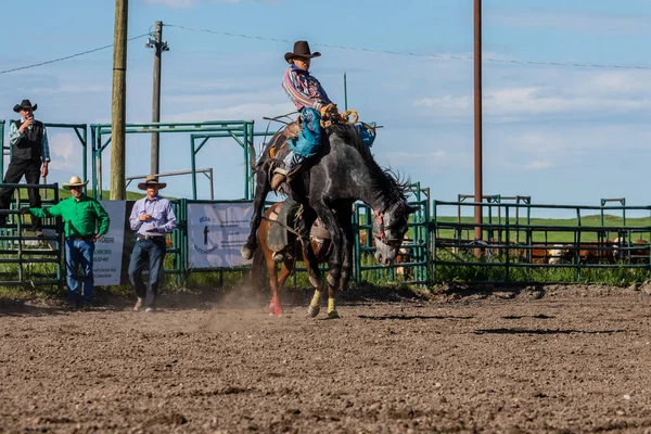 Cowboys Bucking Horse Pincher Creek Ranche Rodeo Canadá Anos Junho — Fotografia de Stock