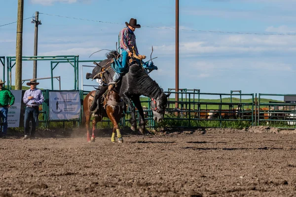 Cowboys Koni Pincher Creek Ranche Rodeo Kanadě Červen 2019 — Stock fotografie