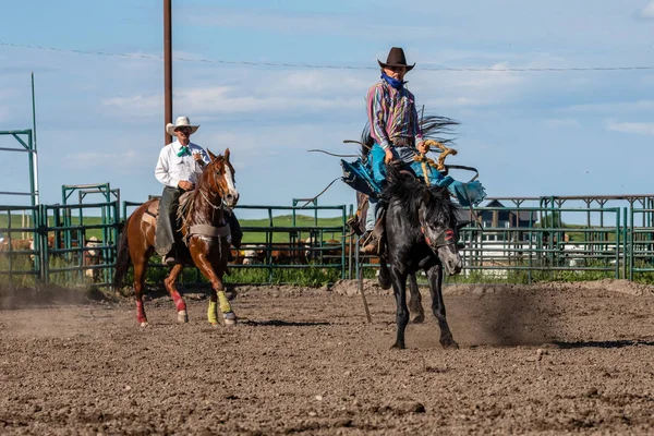 Cowboys Bucking Horse Pincher Creek Ranche Rodeo Canada Junio 2019 — Foto de Stock