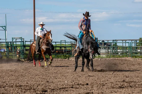 Cowboys Bucking Horse Pincher Creek Ranche Rodeo Canada Anni Giugno — Foto Stock