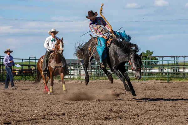Cowboys Bucking Horse Pincher Creek Ranche Rodeo Canada Juin 2019 — Photo