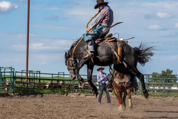 Cowboys Bucking Horse Pincher Creek Ranche Rodeo Kanada Juni 2019 — Stockfoto