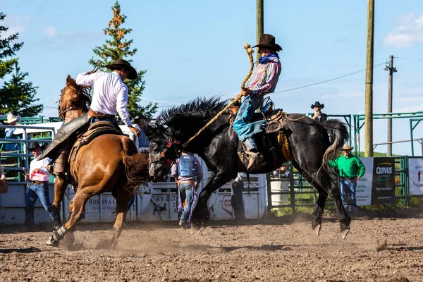 Cowboys Bucking Horse Pincher Creek Ranche Rodeo Canada Juni 2019 — Stockfoto