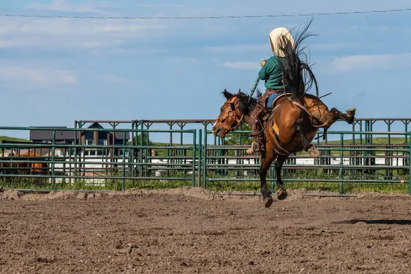 Modiga Cowboys Bucking Horse — Stockfoto