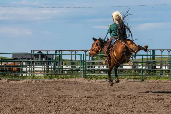 Brave Cowboys on Bucking Horse