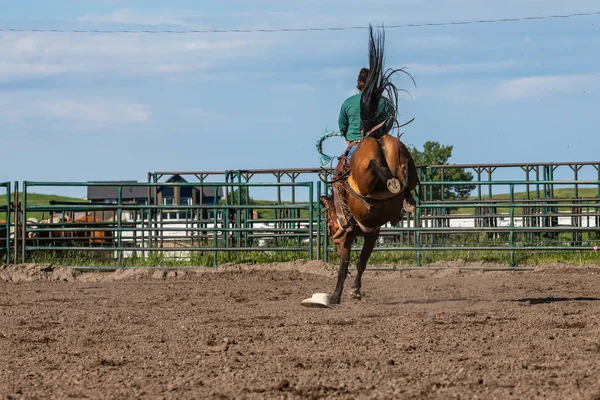 Modiga Cowboys Bucking Horse — Stockfoto